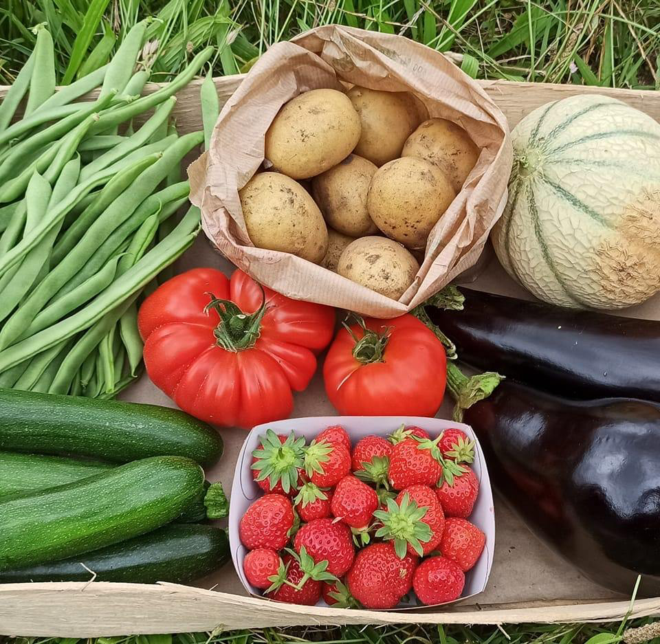Panier de légumes bio frais de la ferme La petite sablière